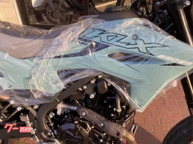Kawasaki KLX230SM 2025 2025 — миниатюра 4
