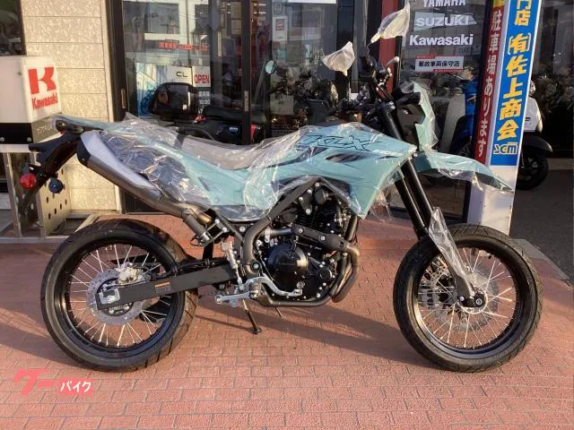 Kawasaki KLX230SM 2025 2025 — фото 1, купить с доставкой в Москву
