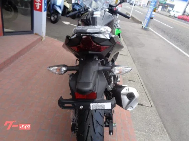 Kawasaki Ninja 250 EX250Y 2025 — миниатюра 2