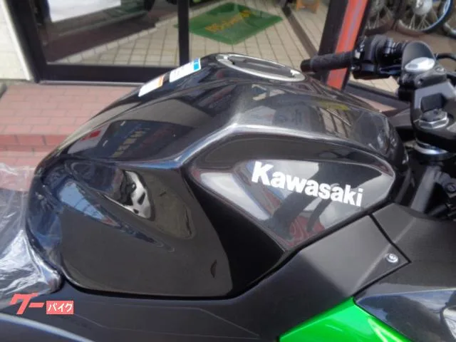 Kawasaki Ninja 250 EX250Y 2025 — миниатюра 3