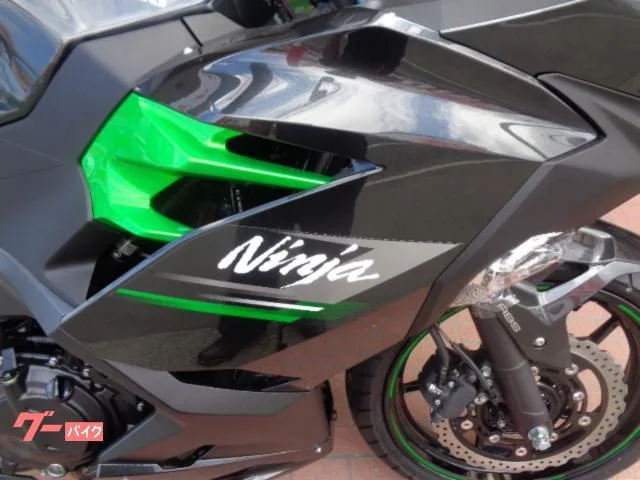 Kawasaki Ninja 250 EX250Y 2025 — миниатюра 4
