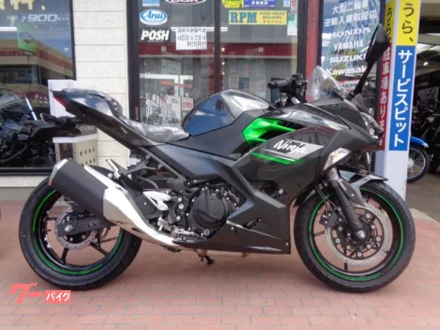 Kawasaki Ninja 250 EX250Y 2025 — фото 1, купить с доставкой в Москву