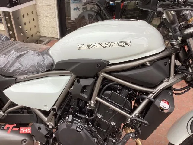 Kawasaki 400 8BK-EL400A 2025 2025 — миниатюра 4