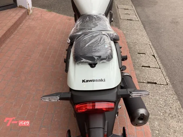 Kawasaki 400 8BK-EL400A 2025 2025 — миниатюра 5
