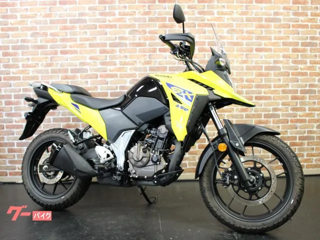 Suzuki V- 250SX 2023 — миниатюра 2