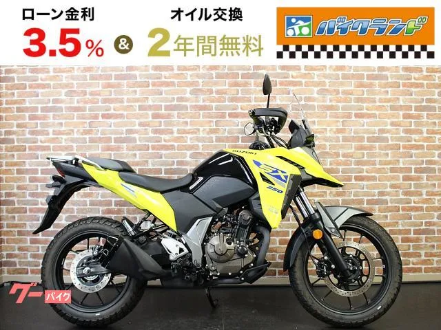 Suzuki V- 250SX 2023 — фото 1, купить с доставкой в Москву
