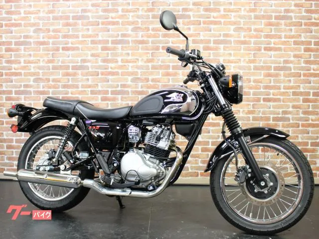Kawasaki S1 2025 — миниатюра 2