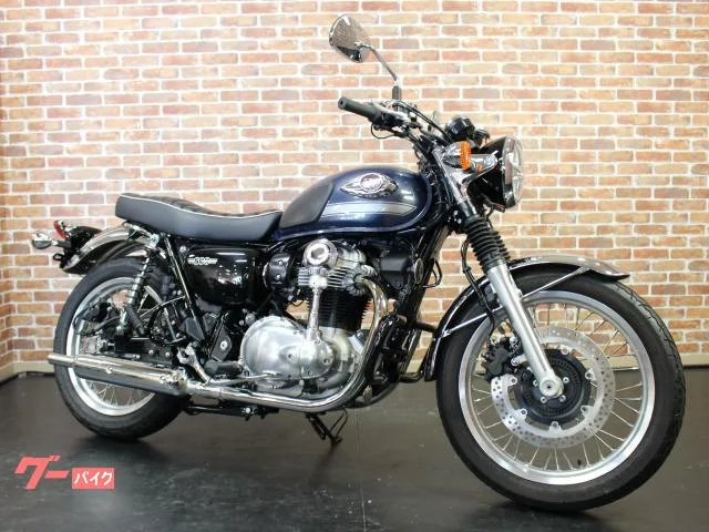 Kawasaki W800 ETC2.0 2023 — миниатюра 2
