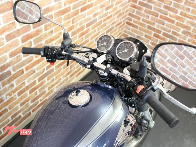 Kawasaki W800 ETC2.0 2023 — миниатюра 3
