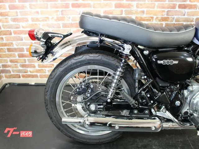 Kawasaki W800 ETC2.0 2023 — миниатюра 4