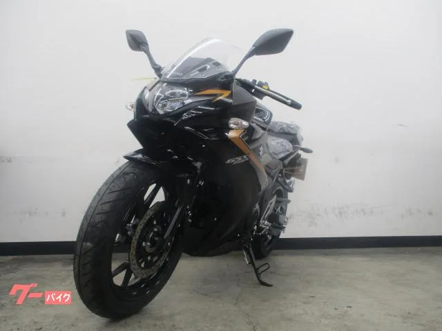 Suzuki GSX250R 2026 — миниатюра 2