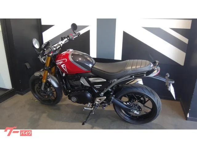 TRIUMPH 400 2024 — миниатюра 2