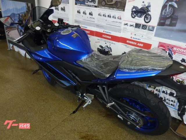 Yamaha YZF-R25 2022 — миниатюра 2