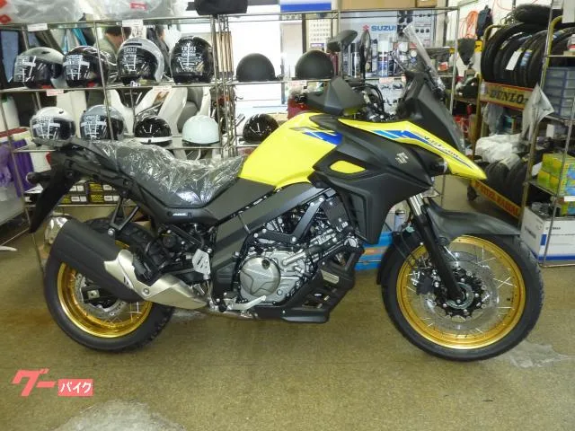 Suzuki V- 650XT 2023 — фото 1, купить с доставкой в Москву