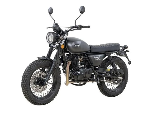 QINGQI 250 2026 — миниатюра 4