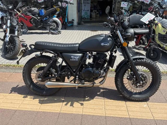 QINGQI 250 2026 — миниатюра 5