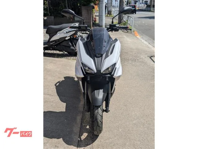 Yamaha X SG79J 2025 — миниатюра 2