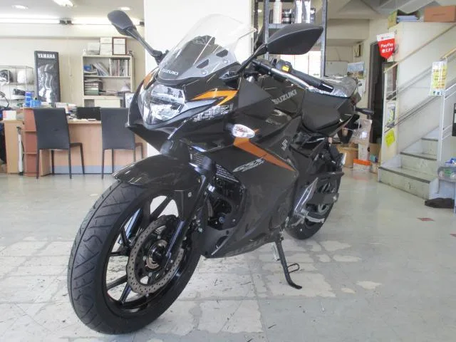 Suzuki GSX250R М4 2024 — миниатюра 2