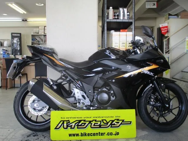 Suzuki GSX250R М4 2024 — фото 1, купить с доставкой в Москву