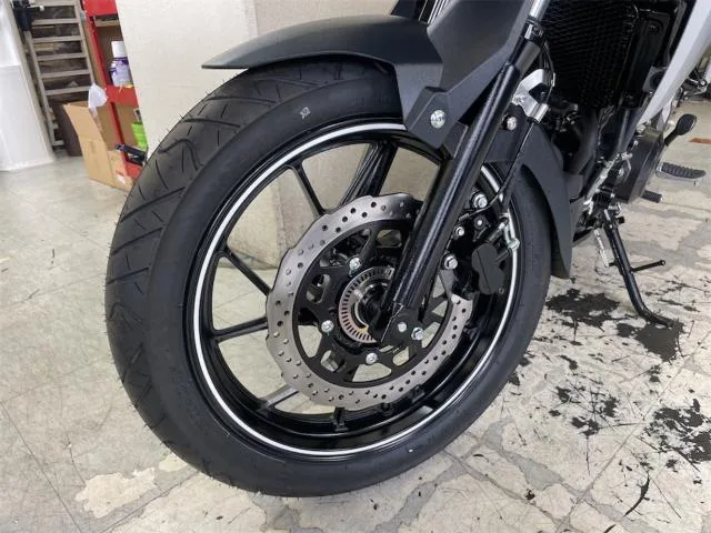 Suzuki V- 250 ABS M4 2024 — миниатюра 2