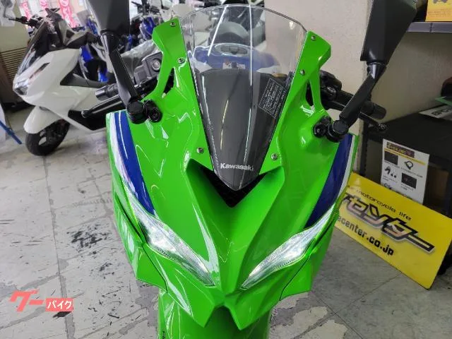 Kawasaki Ninja ZX-4RR 40th anniversary edition 2024 — миниатюра 5