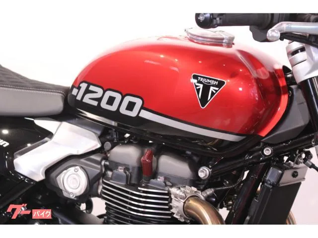TRIUMPH 1200 2025 — миниатюра 4