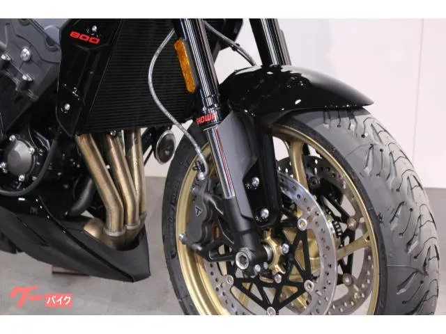 TRIUMPH 800 2026 — миниатюра 3