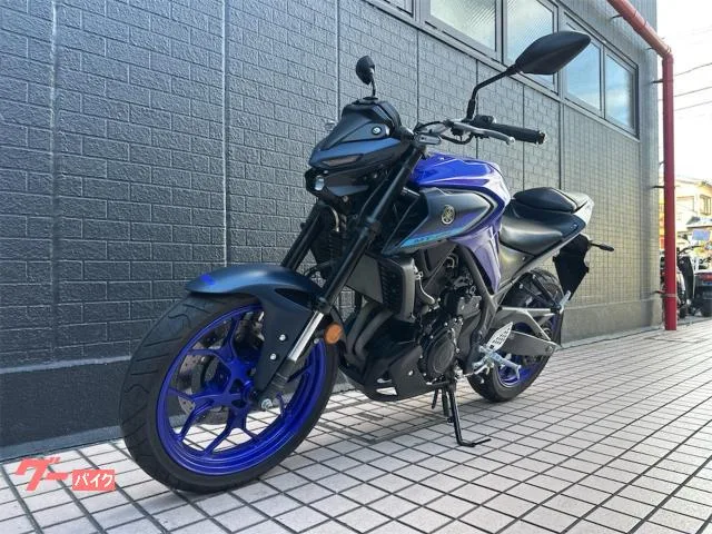 Yamaha MT-25 ABS 6MT 2022 — миниатюра 3
