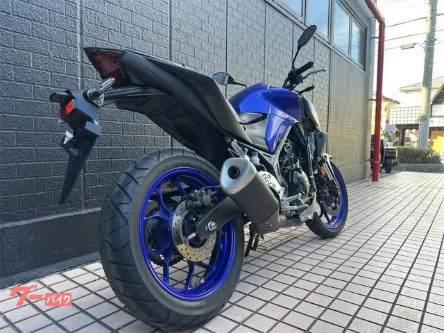 Yamaha MT-25 ABS 6MT 2022 — миниатюра 5