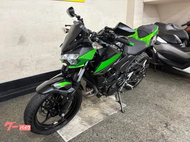 Kawasaki Z250 ABS 6MT ETC2.0 2023 — миниатюра 2