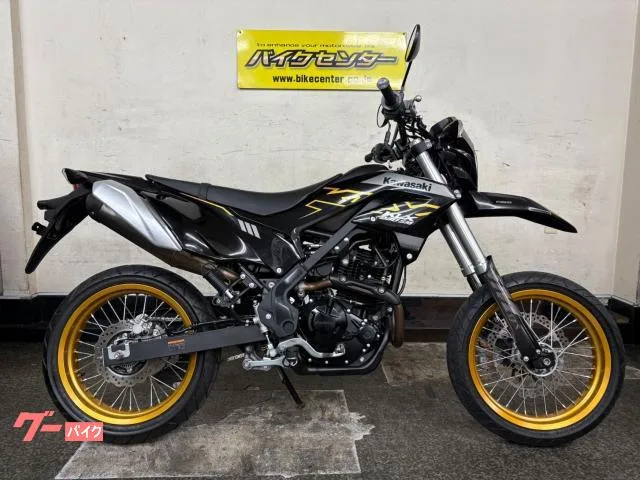 Kawasaki KLX230SM ABS 6MT 2023 — фото 1, купить с доставкой в Москву