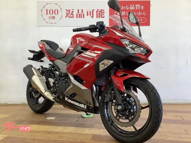 Kawasaki Ninja 250 USB 2022 — миниатюра 4