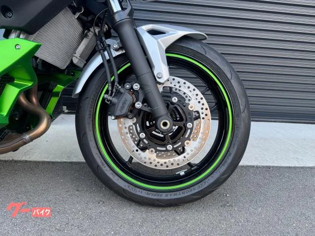 Kawasaki Z7 Hybrid 2024 — миниатюра 2
