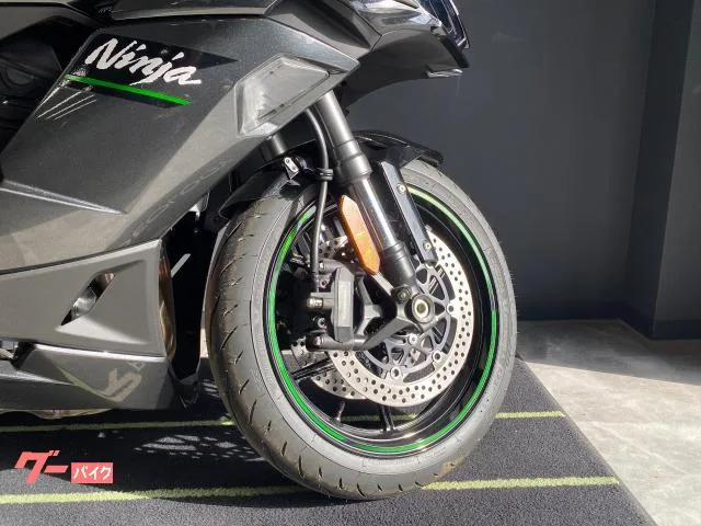 Kawasaki Ninja 1100 SX 2025 — миниатюра 2