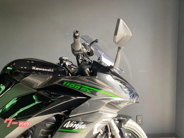 Kawasaki Ninja 1100 SX 2025 — миниатюра 4