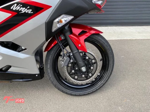 Kawasaki Ninja 250 ETC2.0 2026 — миниатюра 2
