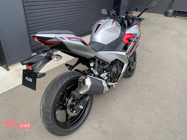 Kawasaki Ninja 250 ETC2.0 2026 — миниатюра 3