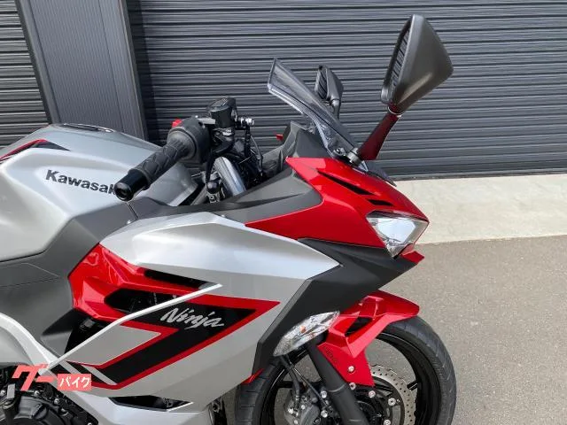 Kawasaki Ninja 250 ETC2.0 2026 — миниатюра 4