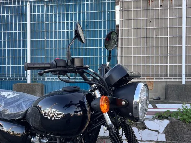 Kawasaki W175 2023 ABS 5 MT SOHC 2023 — миниатюра 3