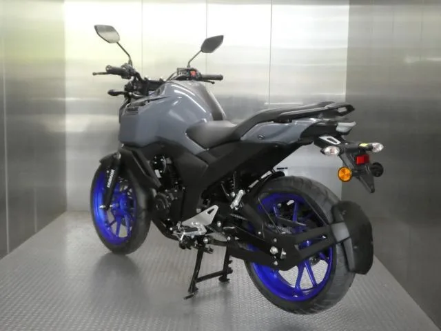 Yamaha FZS-FI DELUXE INDIA 2022 2022 — миниатюра 2