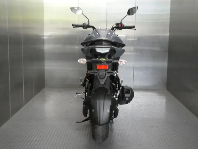 Yamaha FZS-FI DELUXE INDIA 2022 2022 — миниатюра 4