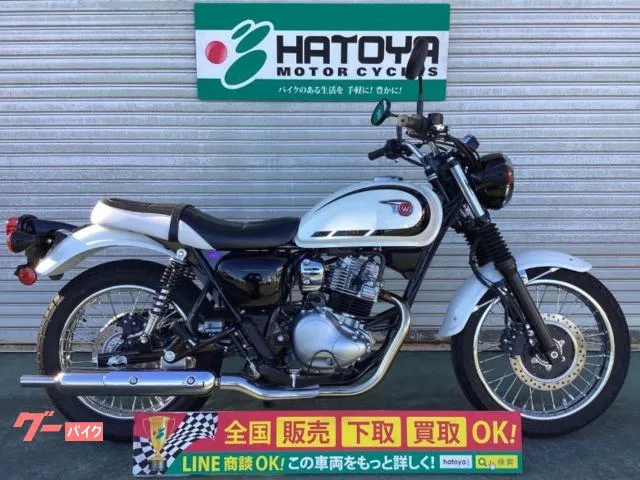 Kawasaki W230 2025 — фото 1, купить с доставкой в Москву