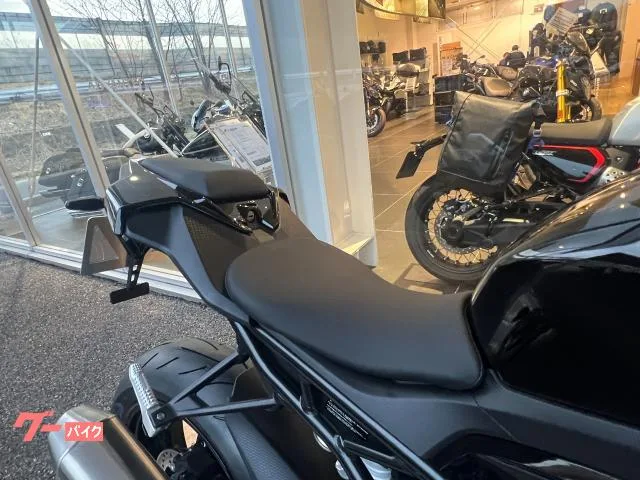 BMW S1000RR CC ETC2.0 2025 — миниатюра 4