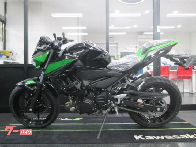 Kawasaki Z250 2023 2023 — миниатюра 3