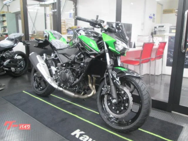 Kawasaki Z250 2023 2023 — миниатюра 4