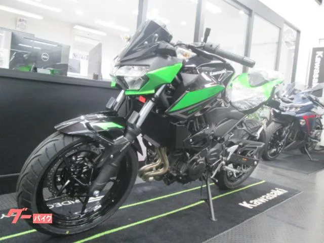 Kawasaki Z250 2023 2023 — миниатюра 5
