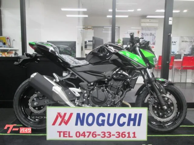 Kawasaki Z250 2023 2023 — фото 1, купить с доставкой в Москву