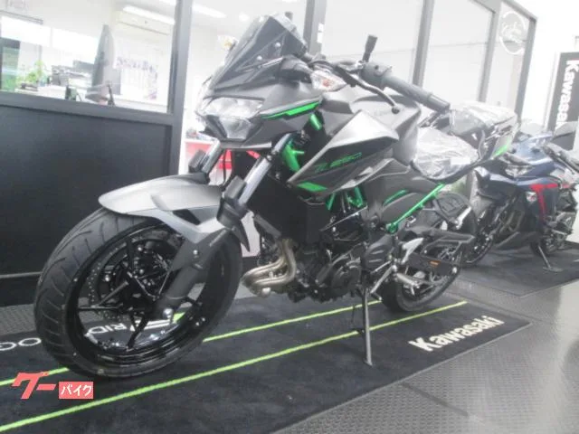 Kawasaki Z250 2024 2024 — миниатюра 2