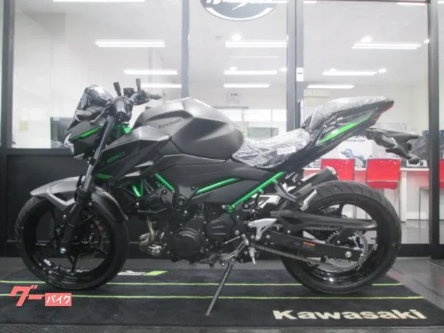 Kawasaki Z250 2024 2024 — миниатюра 3