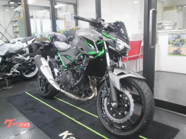 Kawasaki Z250 2024 2024 — миниатюра 4
